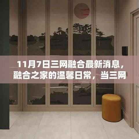 三网融合融合之家，温馨日常与家庭欢乐时光的新篇章（最新消息）