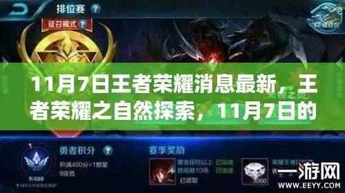 王者荣耀最新消息,自然探索之旅开启,宁静之旅启程于11月7日