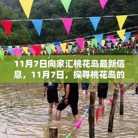 探寻桃花岛最新动态,11月7日向家汇桃花岛最新信息