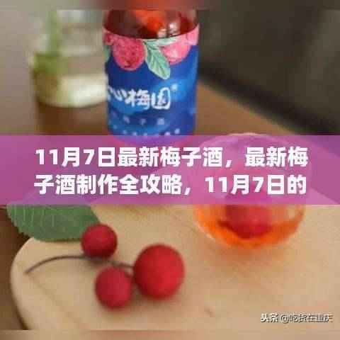 11月7日最新梅子酒制作指南，从初学者到进阶用户的全攻略