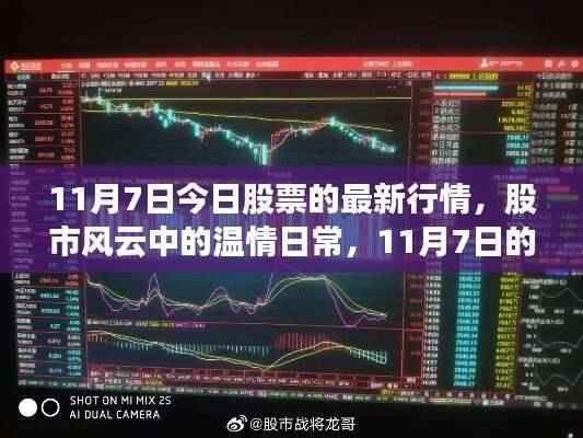 11月7日股市行情概览,股票市场的温情日常与情缘揭秘