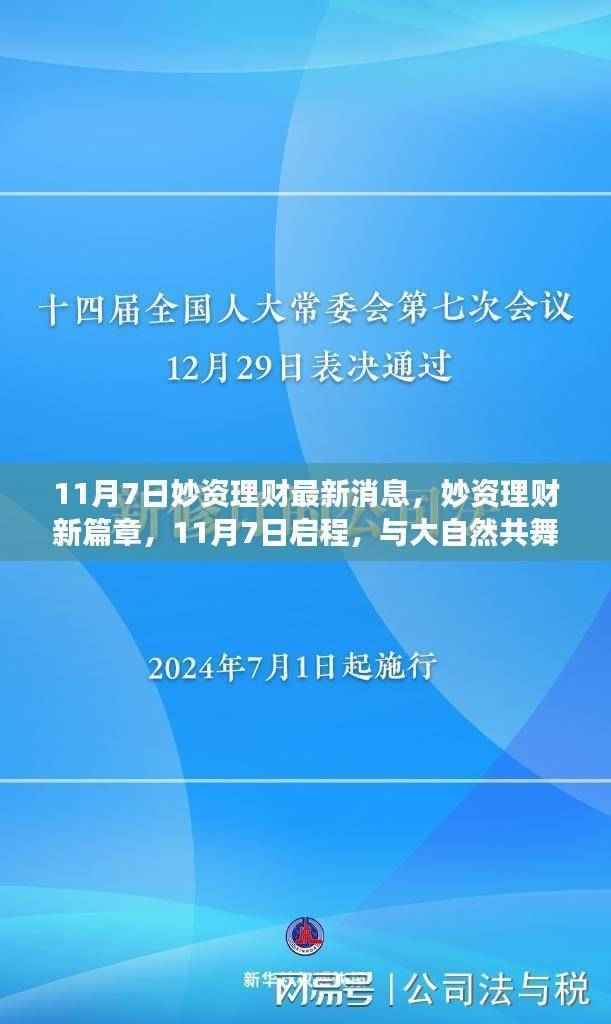 妙资理财新篇章启程,与大自然共舞,探寻内心宁静之旅(11月7日最新消息)