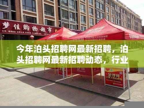 泊头招聘网最新招聘动态及行业趋势热点解析