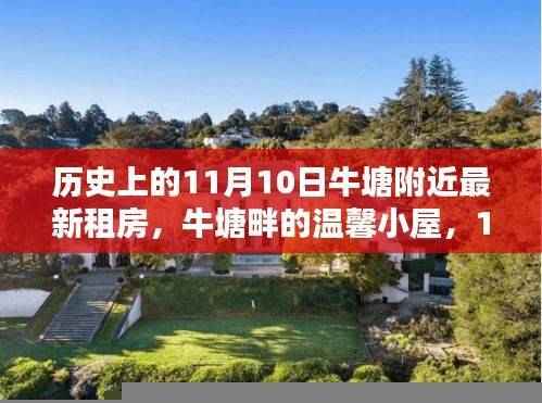 11月10日牛塘畔的温馨小屋奇遇,最新租房信息