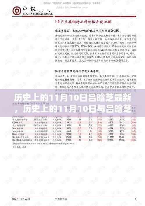 历史上的11月10日与吕晗芝的最新贡献,值得探讨的焦点