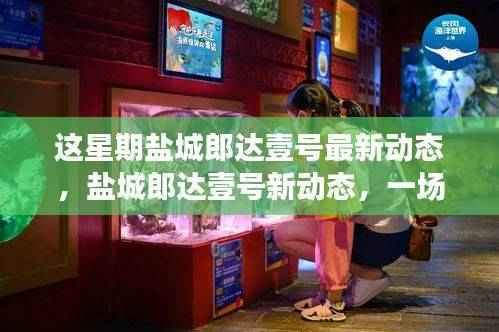 盐城郎达壹号最新动态,自然美景探索之旅,内心平和宁静的追寻