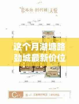 月湖塘路劲城最新房价概览,评测、特性、体验、竞品对比及用户群体深度分析