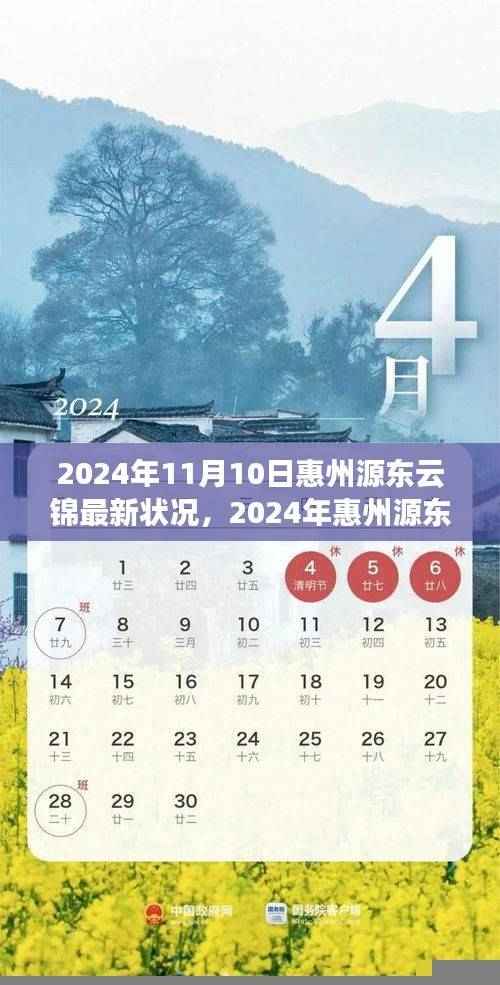 2024年惠州源东云锦最新状况全面评测与介绍