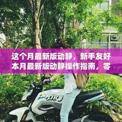 本月最新版动静操作指南,零基础新手也能轻松完成进阶任务