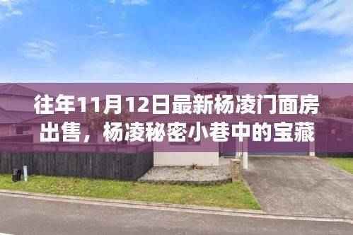 杨凌门面房探秘,小巷宝藏与美食魅力之旅