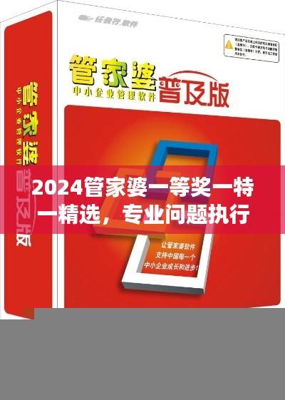 2024管家婆一等奖一特一精选,专业问题执行修订版GRV973.11