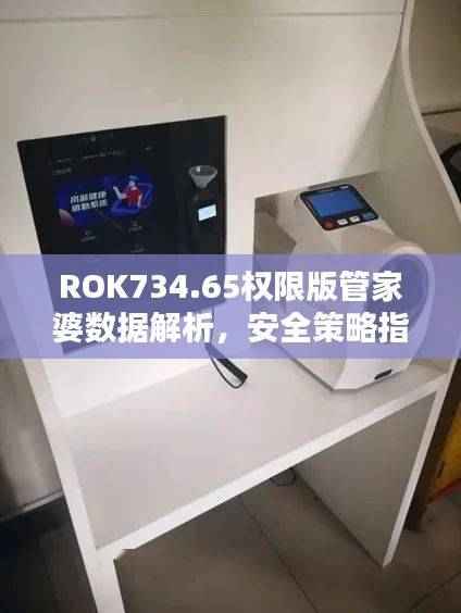ROK734.65权限版管家婆数据解析,安全策略指南