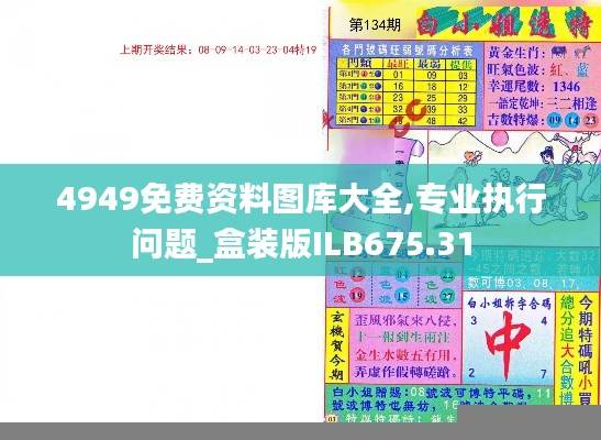 4949免费资料图库大全,专业执行问题_盒装版ILB675.31