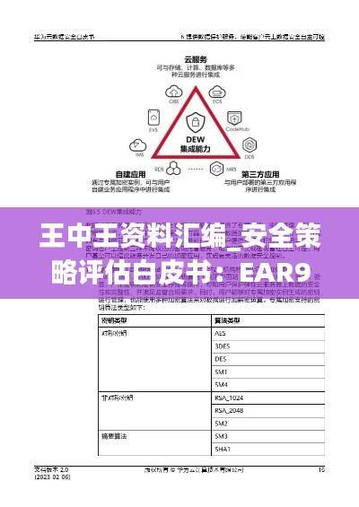 王中王资料汇编_安全策略评估白皮书:EAR949.91版