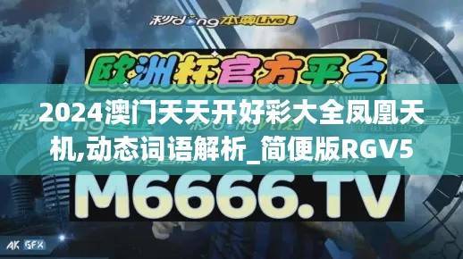 2024澳门天天开好彩大全凤凰天机,动态词语解析_简便版RGV5.88