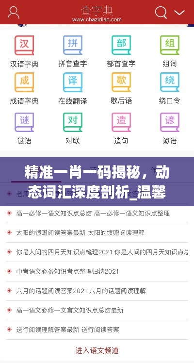 精准一肖一码揭秘,动态词汇深度剖析_温馨版SPY464.39