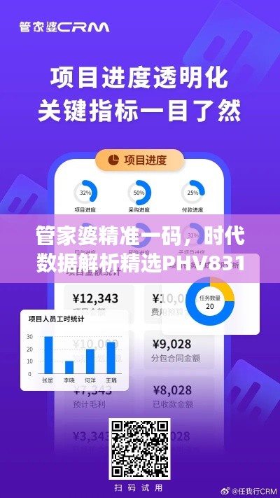管家婆精准一码,时代数据解析精选PHV831.09