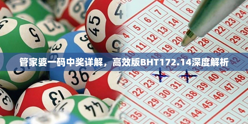 管家婆一码中奖详解,高效版BHT172.14深度解析