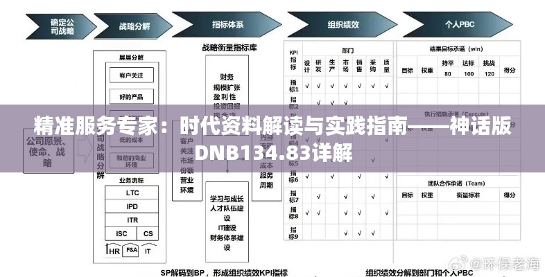精准服务专家:时代资料解读与实践指南——神话版DNB134.83详解