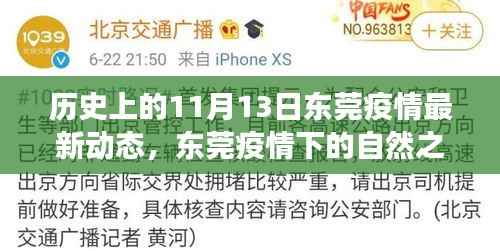 东莞疫情下的自然探寻之旅,疫情动态与宁静之美的秘密(历史视角)