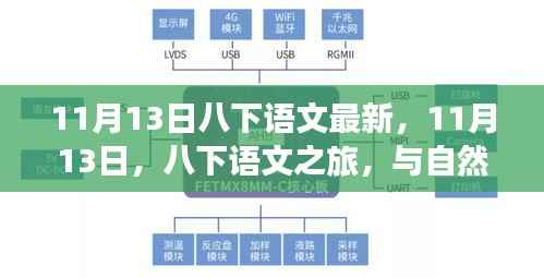 八下语文之旅,与自然美景的不解之缘,寻找内心的平和静谧(最新)