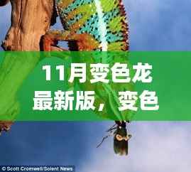 变色龙小杰的秋日奇遇,最新故事揭秘十一月时光