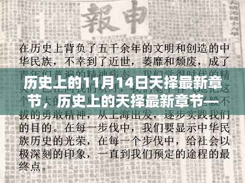揭秘十一月十四日历史上的神秘面纱,天择最新章节揭晓