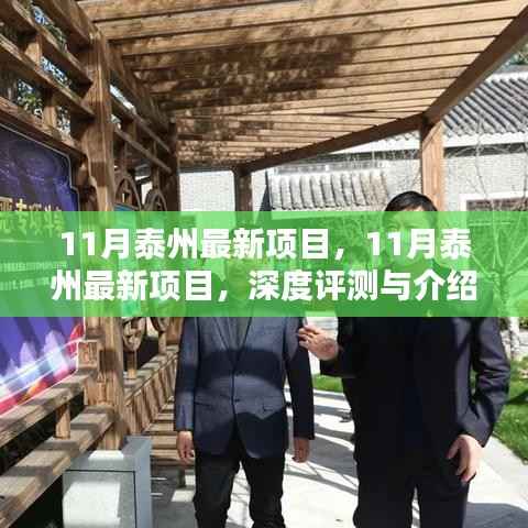 11月泰州最新项目深度评测与介绍