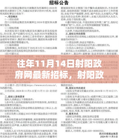 射阳政府网往年11月14日最新招标动态概览,聚焦重要招标活动回顾