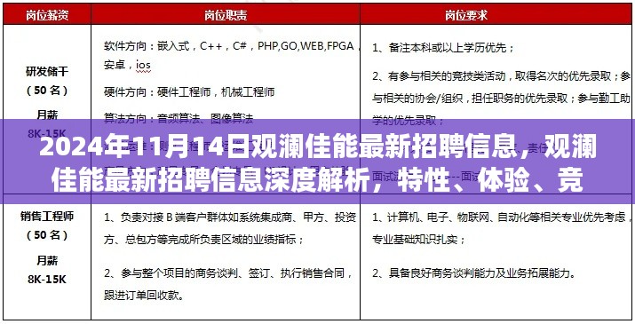 观澜佳能最新招聘信息深度解析,特性、体验、竞品对比与目标用户分析报告发布在即