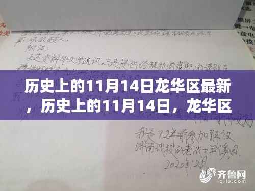 历史上的11月14日，龙华区最新进展全面评测与回顾