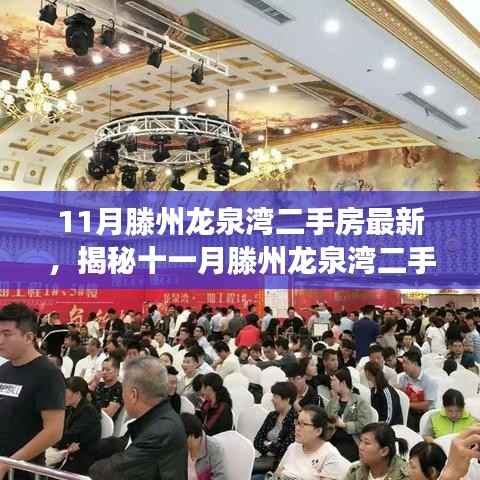揭秘十一月滕州龙泉湾二手房市场，小巷特色小店与最新房源概述