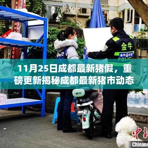 成都最新猪市行情分析,揭秘猪假与猪市动态重磅更新(11月25日)