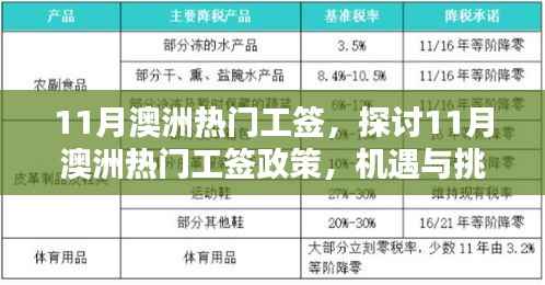 澳洲热门工签政策深度解析,机遇与挑战并存探讨
