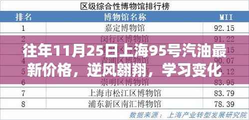 往年11月25日上海95号汽油最新价格,启示中的逆风翱翔与自信成就之路