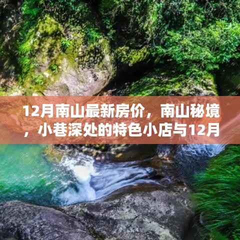 南山秘境小巷特色与最新房价探秘