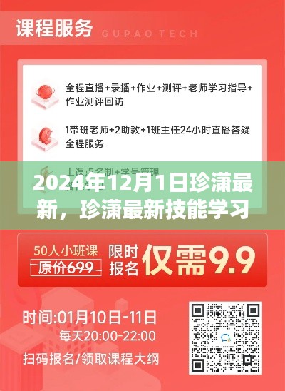 珍潇最新技能学习指南，从初学者到进阶用户的逐步掌握（2024年12月版）