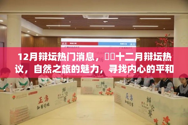 十二月辩坛热议,自然之旅的魅力与内心平和宁静的追寻