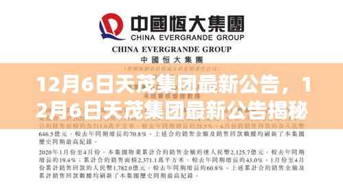 揭秘,天茂集团最新公告引领行业新动向,12月6日重磅发布