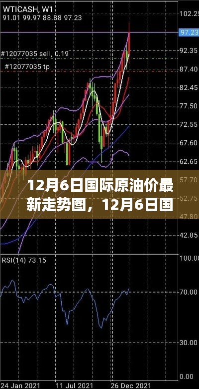 揭秘油价波动背后的故事与影响,12月6日国际原油市场走势分析
