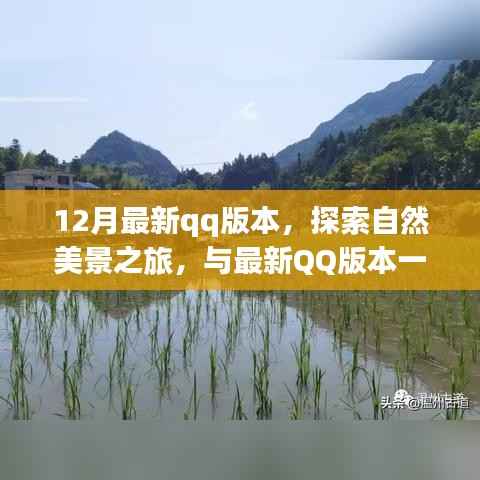 最新QQ版本带你开启自然美景探索之旅,寻找内心的宁静