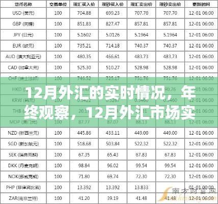 年终观察,深度评测12月外汇市场实时动态与趋势分析