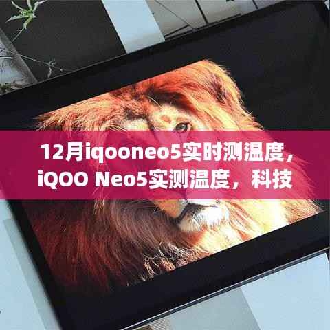 iQOO Neo5实测温度,科技智能重塑生活,智能温控开启未来体验