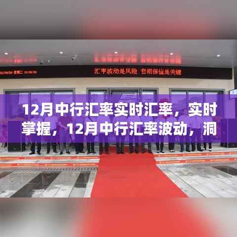 中行实时汇率解析,洞悉波动变化,掌握最新汇率动态