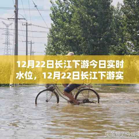 长江下游实时水位报告,综合观点分析与个人立场观察