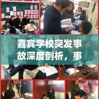 嘉宾学校突发事故深度剖析，事故原因、处理进展与反思