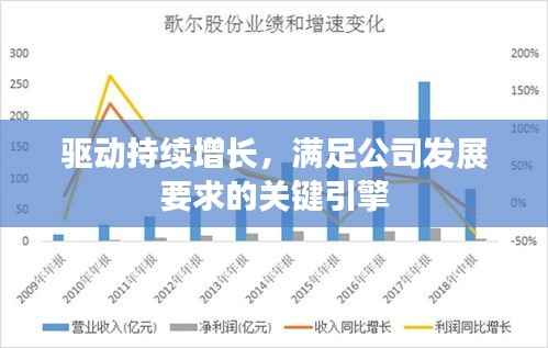驱动持续增长,满足公司发展要求的关键引擎