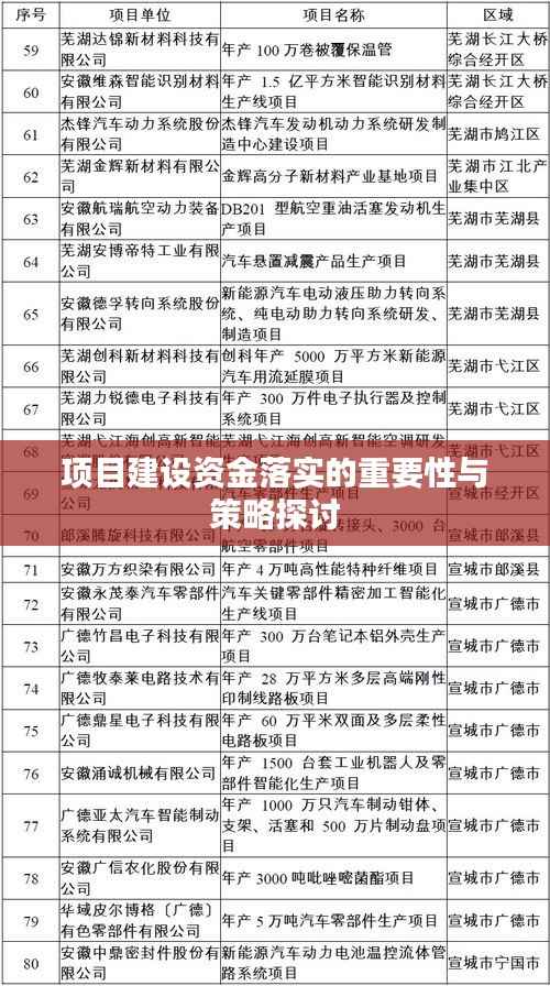 项目建设资金落实的重要性与策略探讨