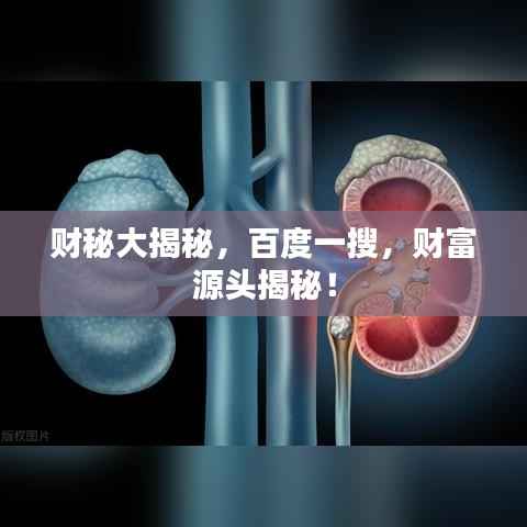 财秘大揭秘,百度一搜,财富源头揭秘!