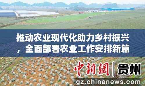 推动农业现代化助力乡村振兴,全面部署农业工作安排新篇章